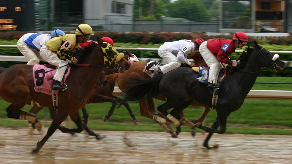 Horse racing