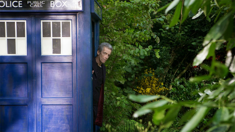 Doctor who In the Forest of the Night Doctor