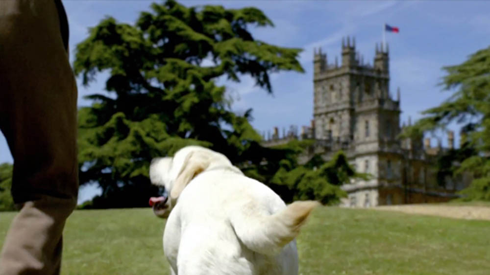 Downton Abbey dog