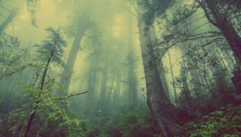 BBC Soundscapes for Wellbeing