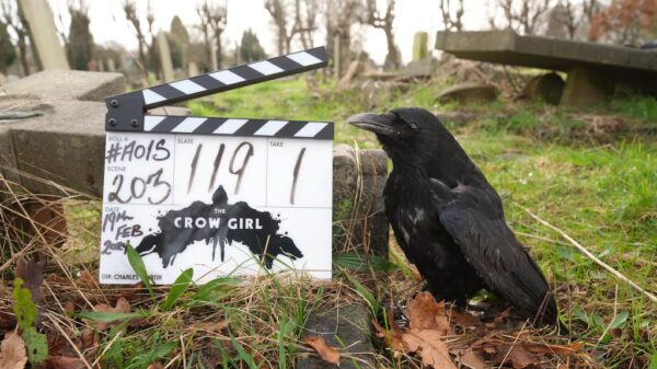 The Crow Girl clapperboard