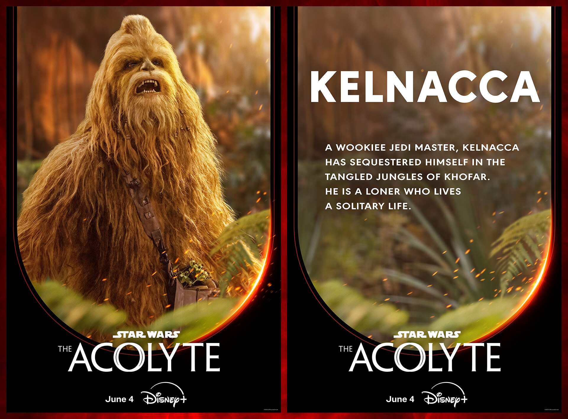 Star Wars The Acolyte - Jedi Master Kelnacca