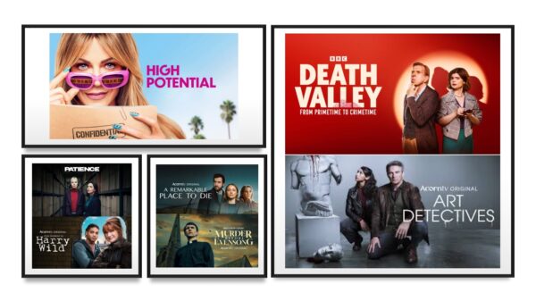 New Crime shows we enjoyed in 2025