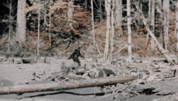 Bigfoot, a character in Wildman