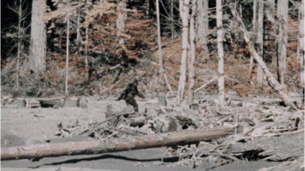Bigfoot, a character in Wildman